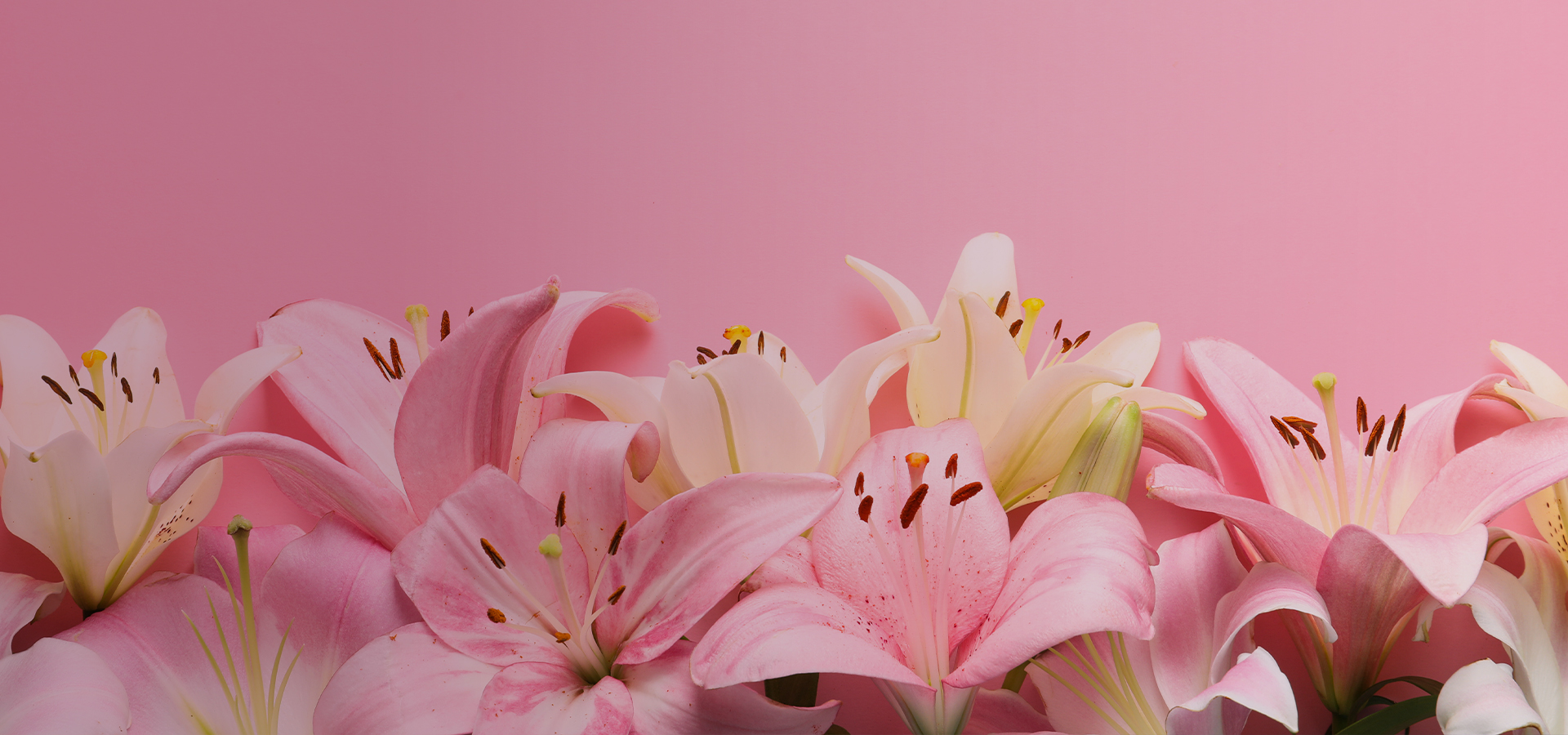 Order Easter Flowers