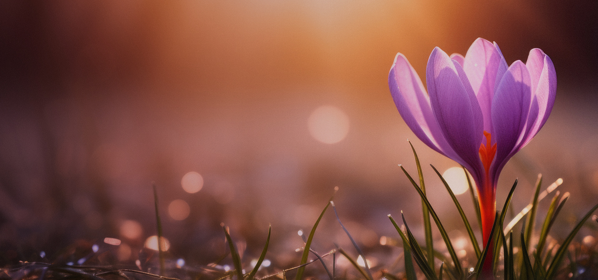 Good and Beautiful Small Group Study